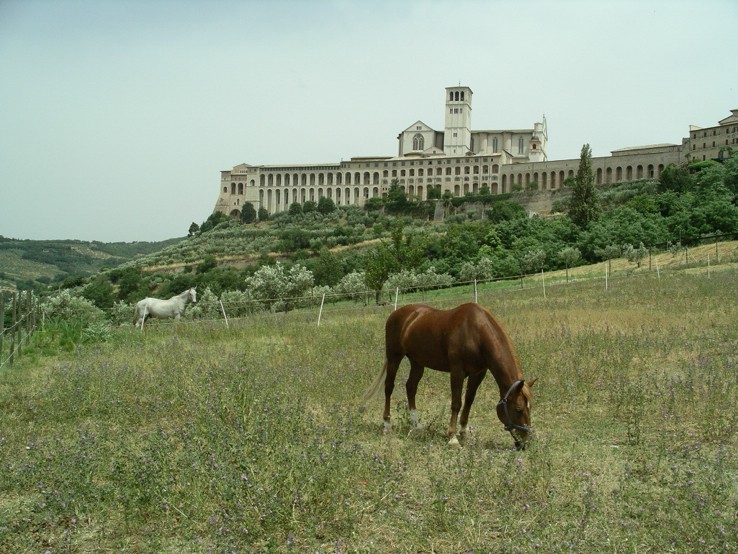 Assisi, Italy. Umbria Walking Tour.